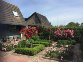 Near Amsterdam, The Hague, Leiden and North Sea